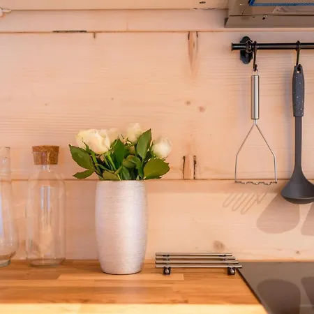 Σαλέ Goralski Zornicka Ζακοπάνε