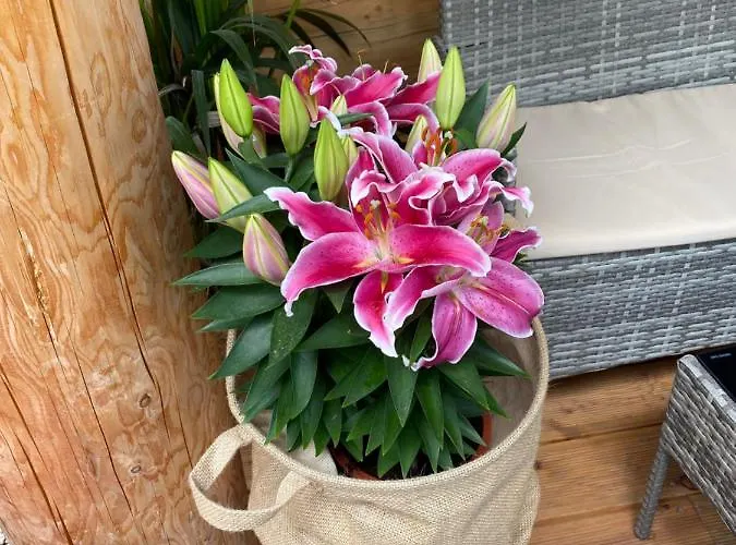 Σαλέ Goralski Zornicka *