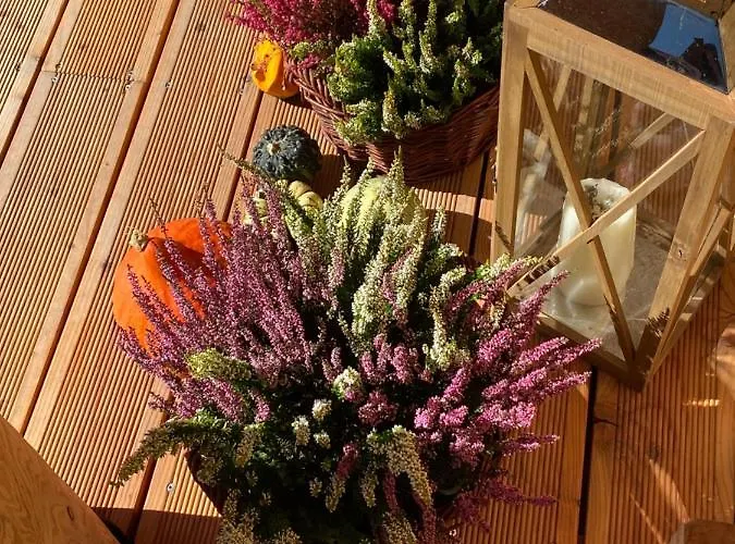 Goralski Zornicka בקתה *